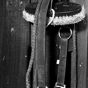 Kopie von D30 0723bw