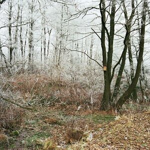 Winter 2007