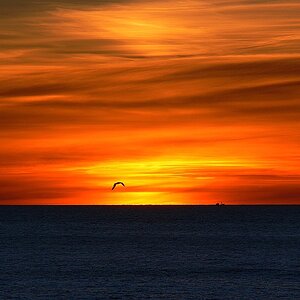 Sonnenuntergang auf Cape Breton Island (Nova Scotia)