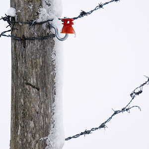 Winter 3