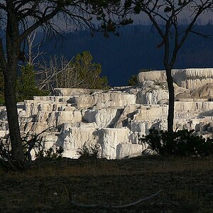 Mammoth Hot Springs - Yellowstone NP (USA)