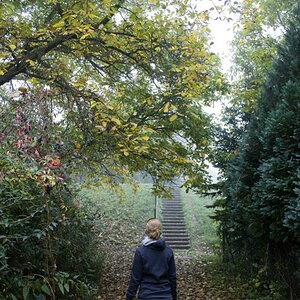 Dieses Bild entstand ebenfalls bei einem Spaziergang an einem Herbstmorgen ^^
