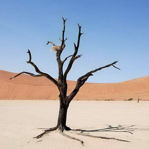 Sossusvlei