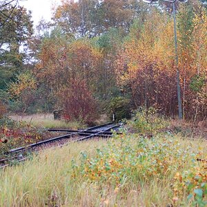 Herbstzeit