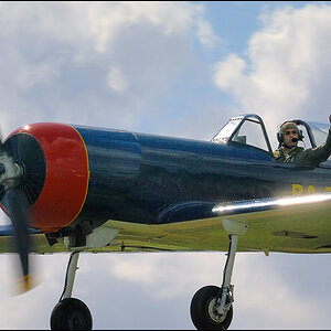 Yak 50 01

· http://www.nikon-fotografie.de/vbulletin/showpost.php?p=1174953&postcount=120