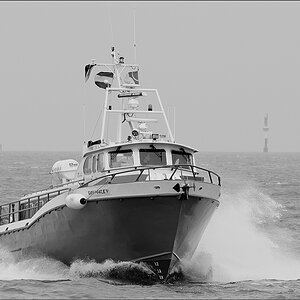 DSC 4003 nff Kopie