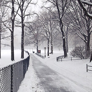 NYC CentralPark Winter