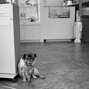 security