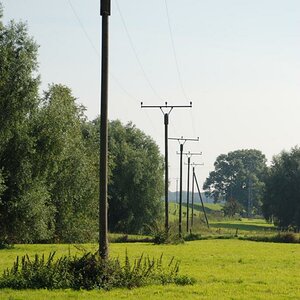 Masten in reih und glied