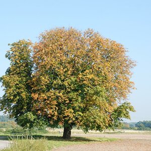 Es wird bunt