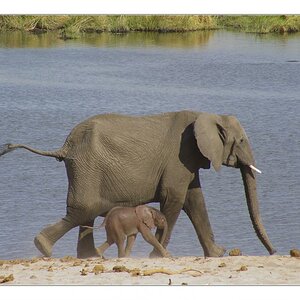 Namibia 2005 084