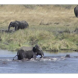 Namibia 2005 090 bearbeitet 1