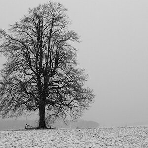 Winter in Anwil