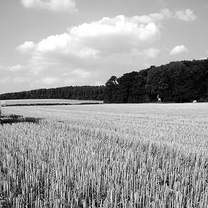 nach der Ernte ist vor dem Herbst