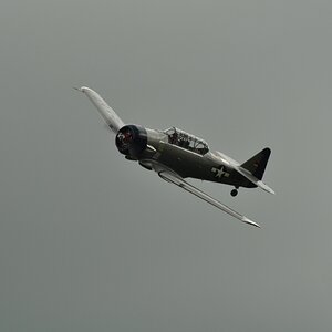 DSC 0626b