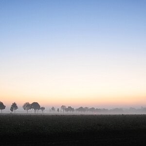 NFF 28 1.4 Nebel