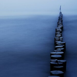 Blaue Stunde im Nebel