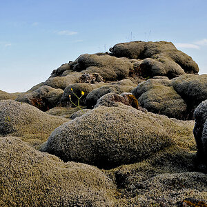 41 Myrdalssandur Gebiet