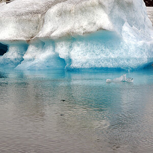 35 Eissee