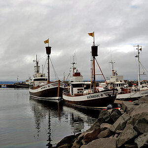 16 Husavik