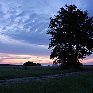 Weg zum See