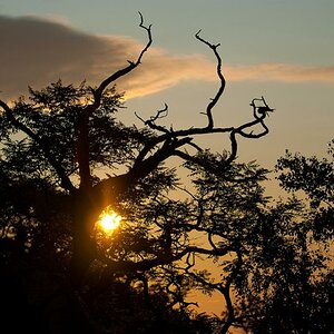 Sonnenaufgang über dem Bodetal