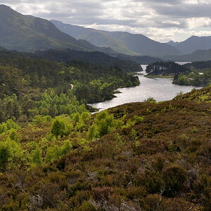 glenaffric2