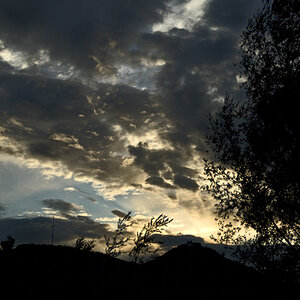 DSC6447 f