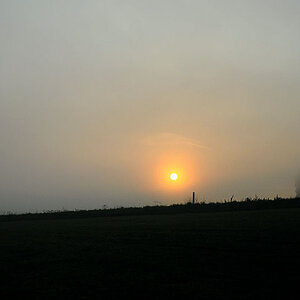 sonne1