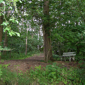 DSCN4276 copy