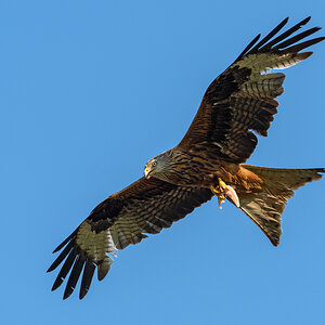 OF5_02356.jpg