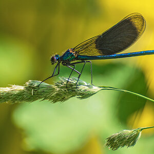 OF2_02370.jpg