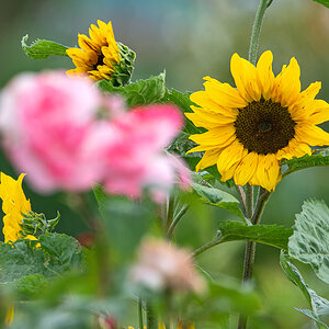 OF5_02410.jpg