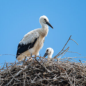 OF5_02576.jpg