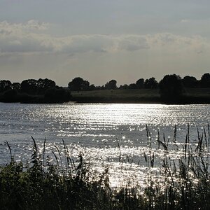 IMG5478.jpg