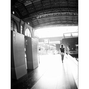 SasaDSC_0495.jpg