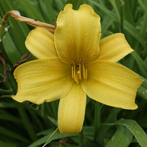 _DSC7956NF.jpg