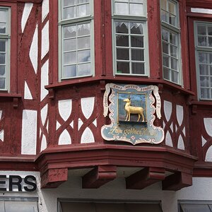 DSC_0028 (Kopie).jpg