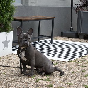 DSC_0037 (Kopie).jpg