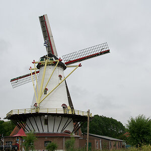 Ouddorp 20200611 (61).jpg