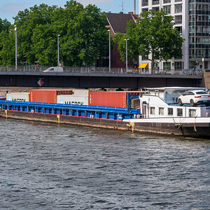 D50_8328.JPG