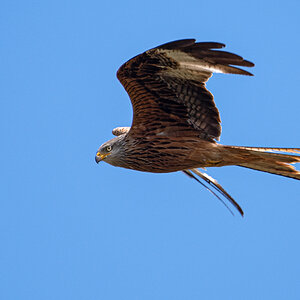 OF5_02572.jpg