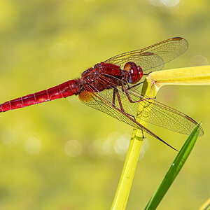 OF5_02619.jpg