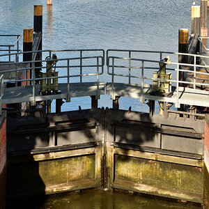 20200706_183112_nf.jpg
