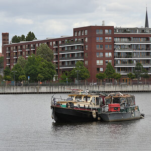 DSC_0396.JPG