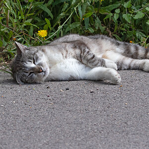 OF5_03015.jpg