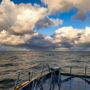 20200710_211454_nf.jpg