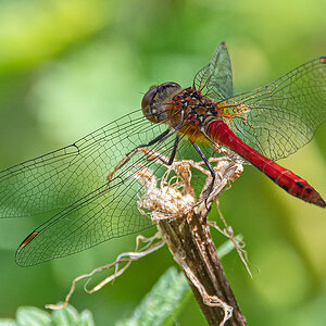 OF5_02603.jpg