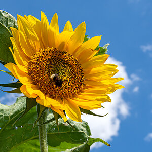 OF2_03197.jpg