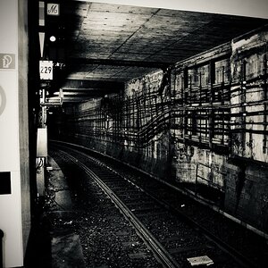 DSC_2478.jpeg